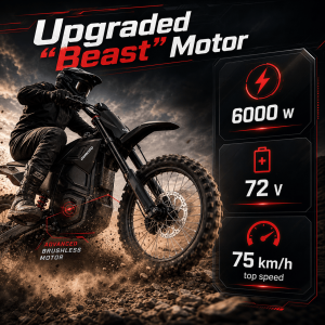 Das Powersports & Accessories, Yorktown, NY