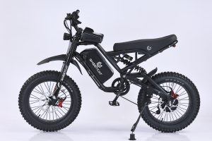 Das Powersports & Accessories, Yorktown, NY