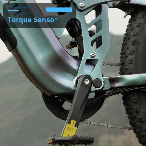 Das Powersports & Accessories, Yorktown, NY