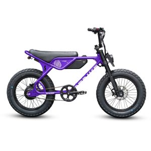 Das Powersports & Accessories, Yorktown, NY
